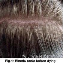 251230161645_Hair-Before Dying-s.jpg